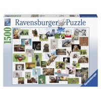 Ravensburger: Puzzle 1500 db - Vicces állatok