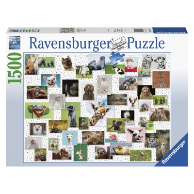 Ravensburger: Puzzle 1500 db - Vicces állatok