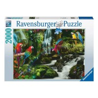 Ravensburger Puzzle 2000 db - Színes papgájok a dzsungelban